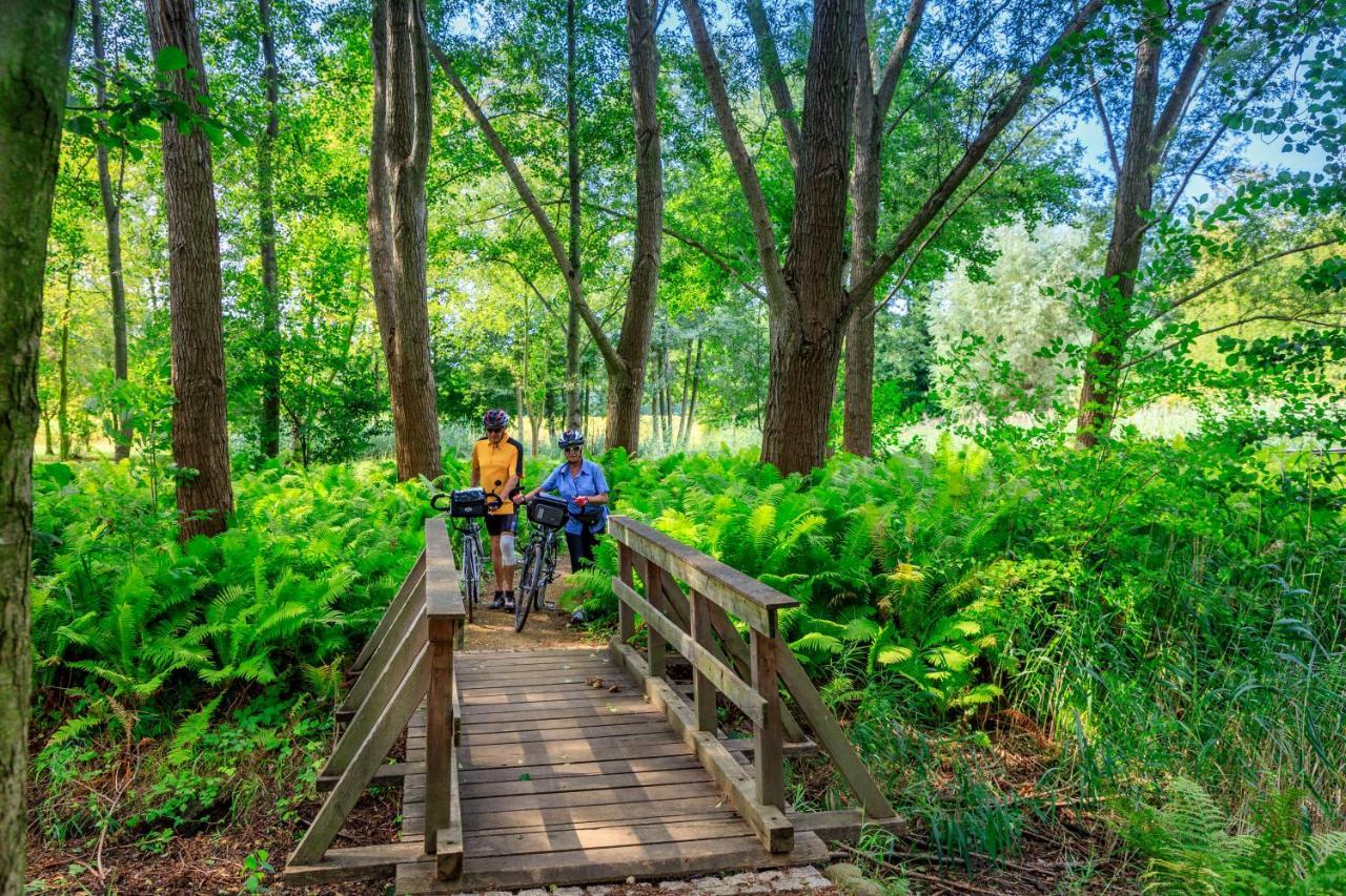 Parkpension Spreewald Burg im Spreewald Eksteriør billede